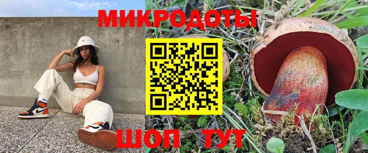 Галлюциногенные грибы мухоморы Надым